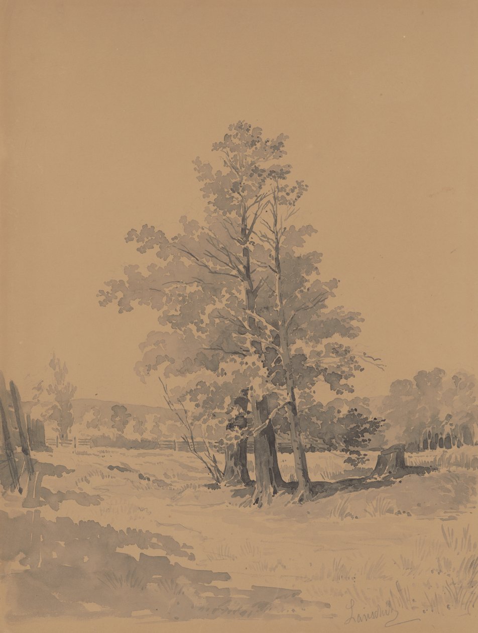 Drzewa na skraju lasu autorstwa Friedrich Carl von Scheidlin
