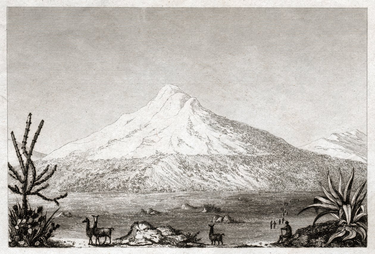 Wulkan Chimborazo. (grafika, ok. 1840) autorstwa Friedrich Alexander Baron von (after) Humboldt