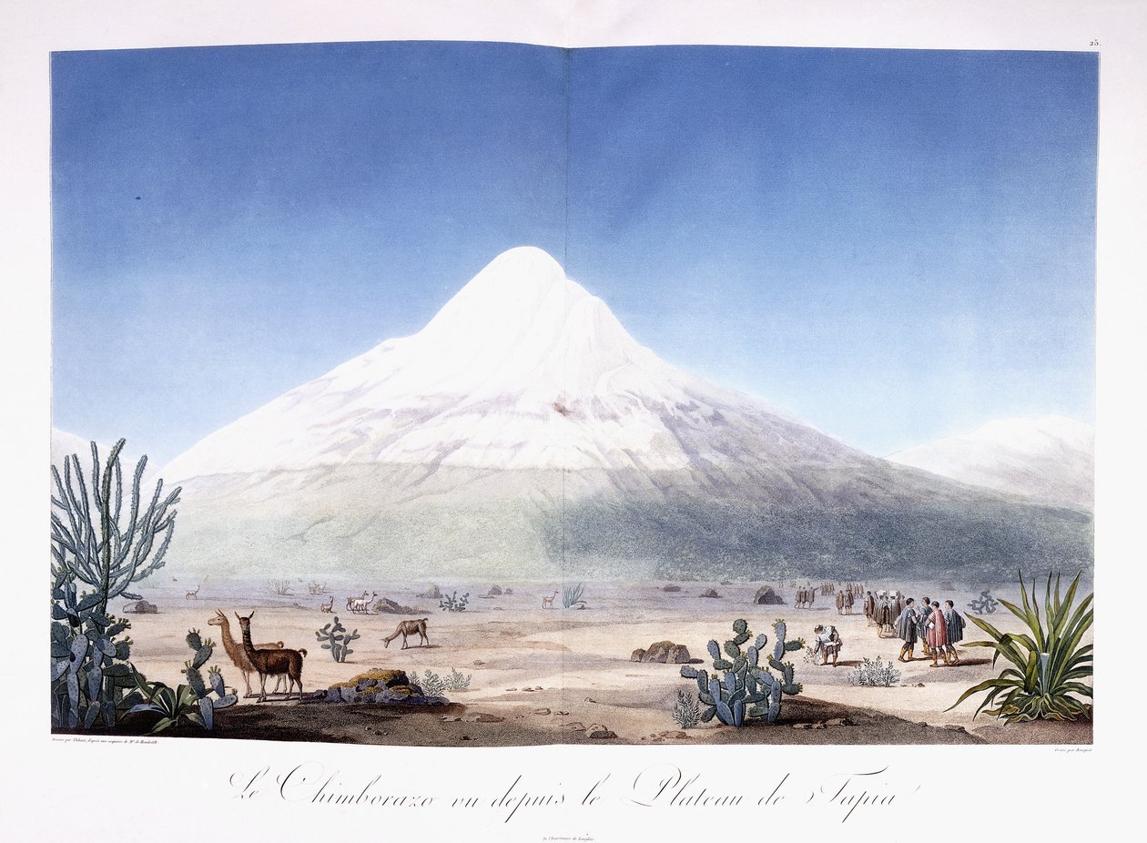Chimborazo widziany z płaskowyżu Tapia autorstwa Friedrich Alexander Baron von (after) Humboldt