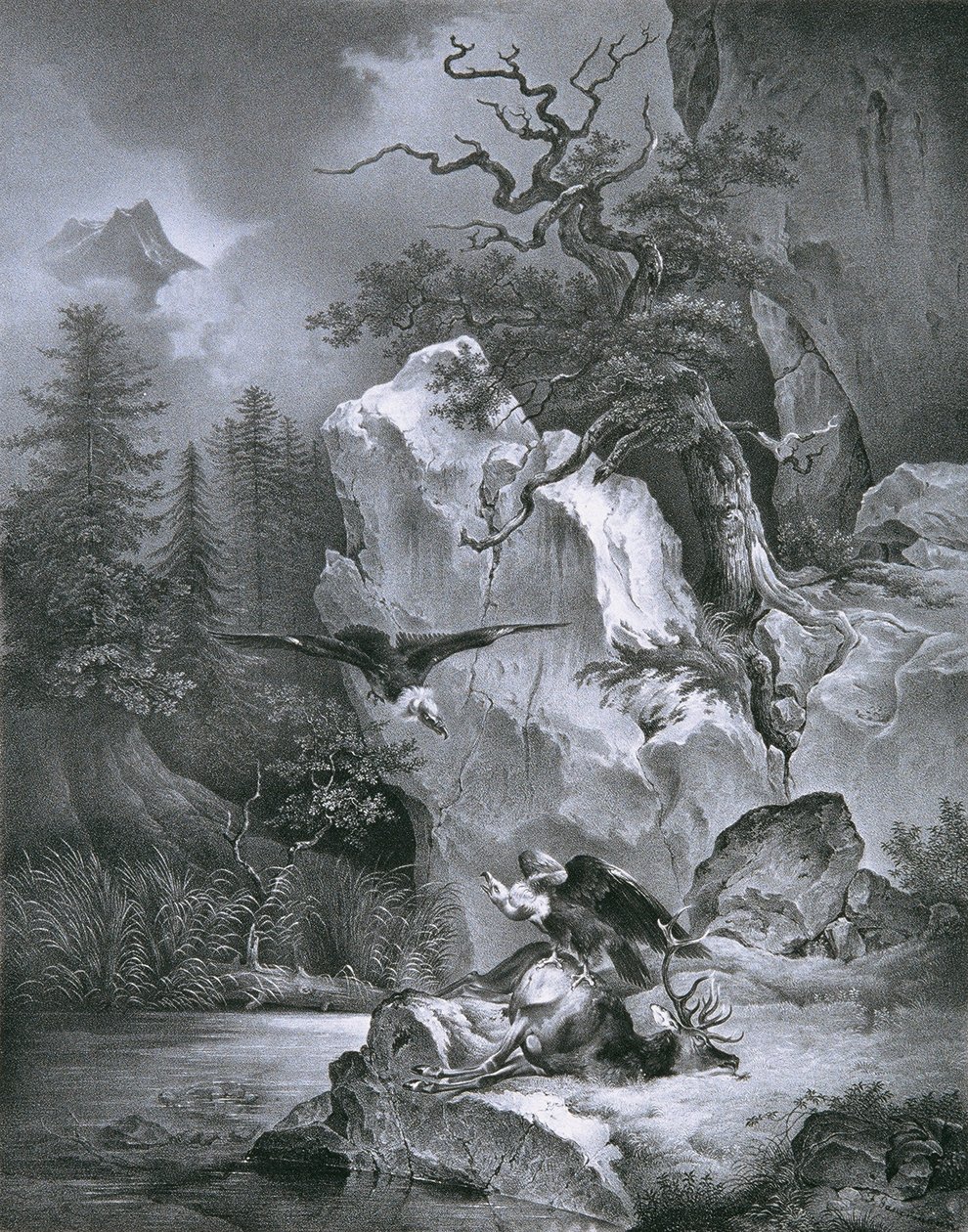 Sęp z martwym jeleniem autorstwa Friedrich August Mathias Gauermann