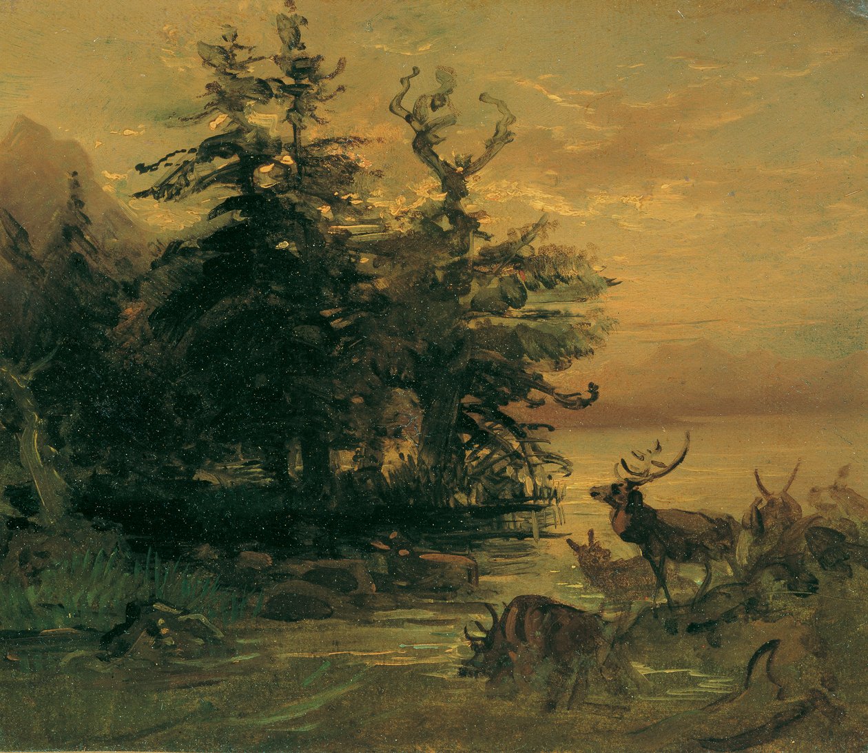 Jeleń tarzający się na brzegu górskiego jeziora autorstwa Friedrich August Mathias Gauermann