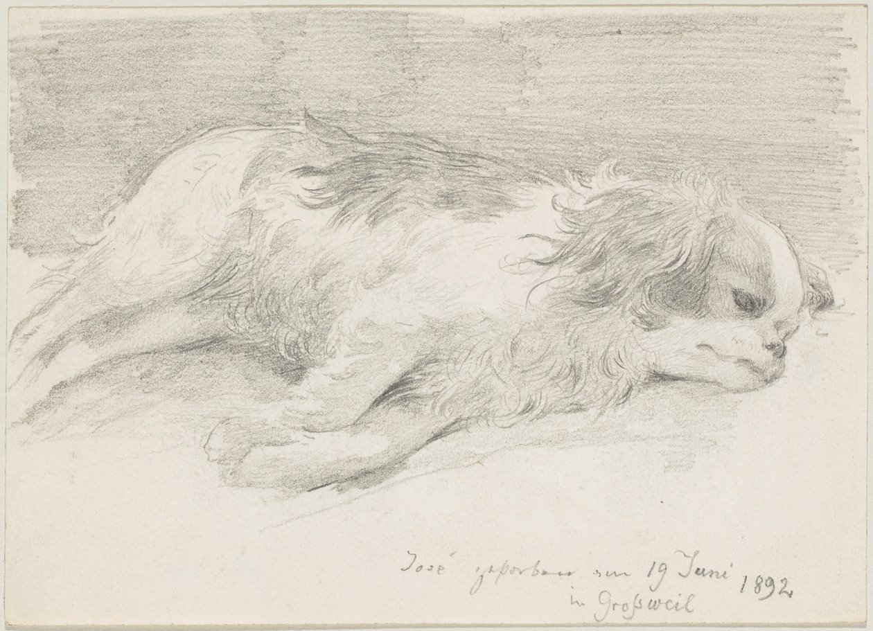 badania psów autorstwa Friedrich August von Kaulbach