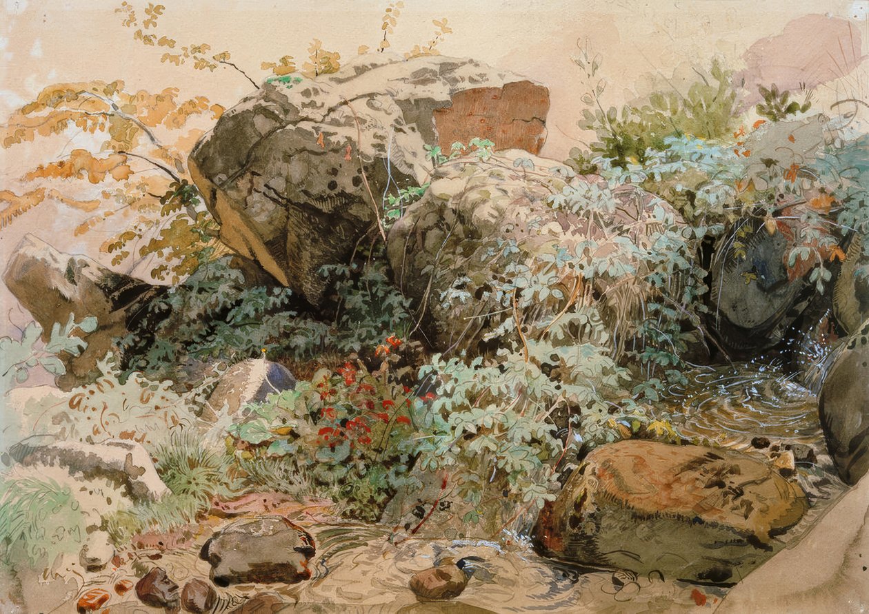 Głazy porośnięte krzewami nad górskim potokiem autorstwa Friedrich Nerly