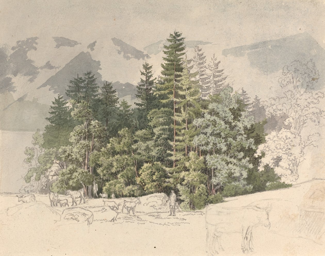Krajobraz alpejski autorstwa Friedrich Salathé