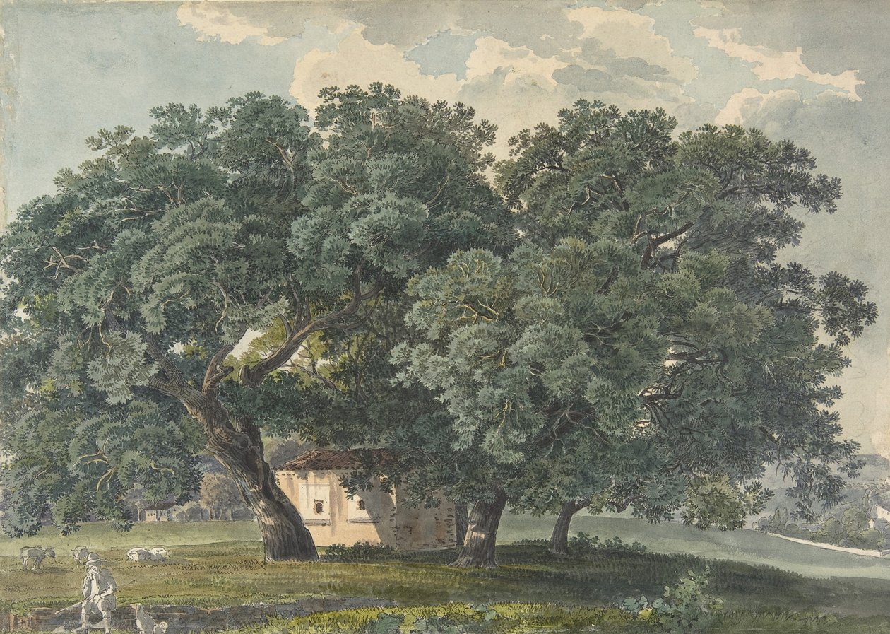 Pejzaż włoski z drzewami prosto, 1815-21. autorstwa Friedrich Salathé