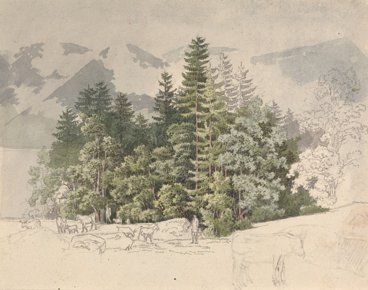 Krajobraz alpejski (gwasz na graficie) autorstwa Friedrich Salathe