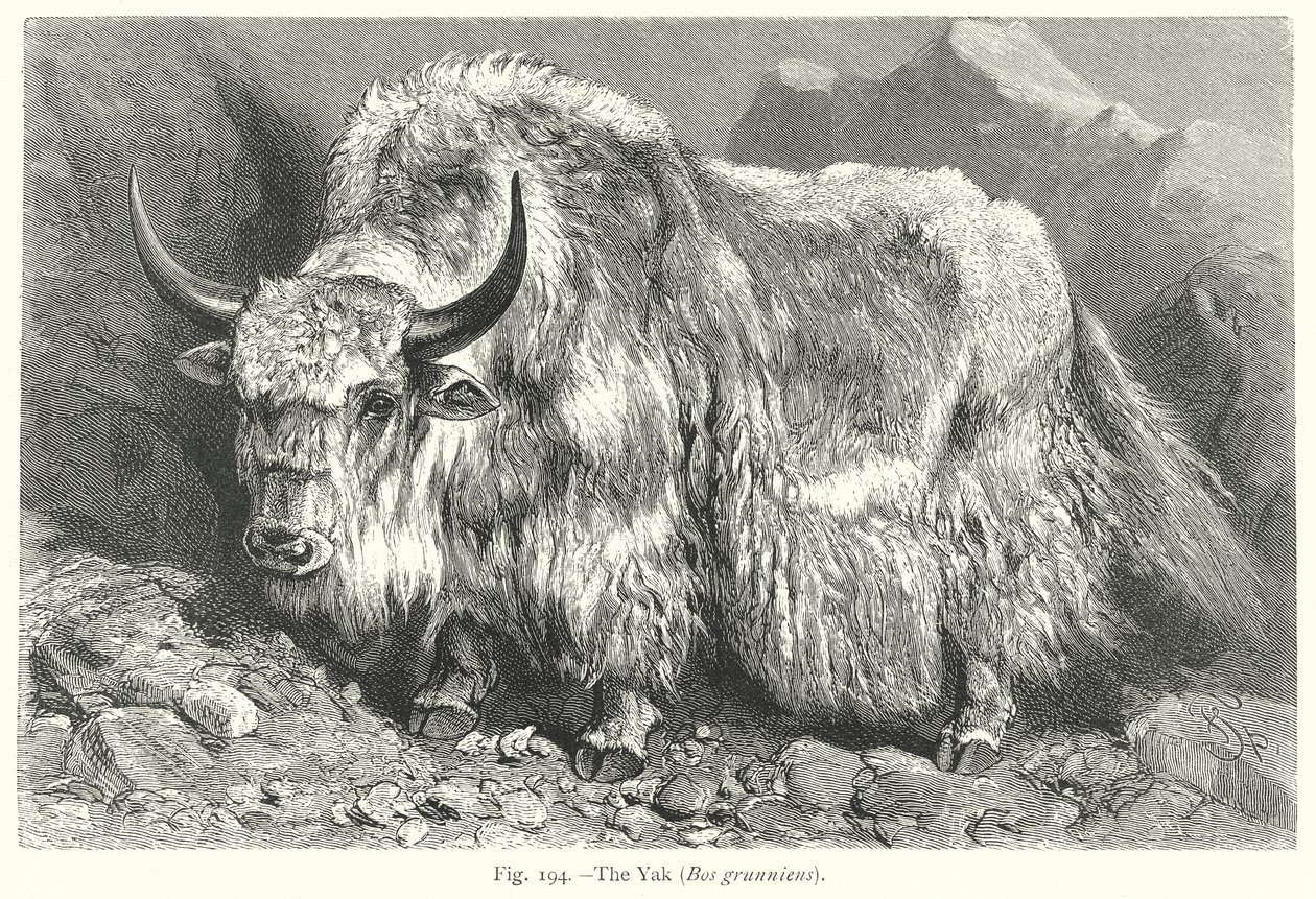  autorstwa Friedrich Specht