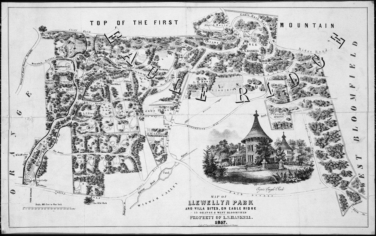 Mapa Llewellyn Park i Villa Sites, na Eagle Ridge w Orange i West Bloomfield, 1857., 1857. autorstwa Friend and Aub