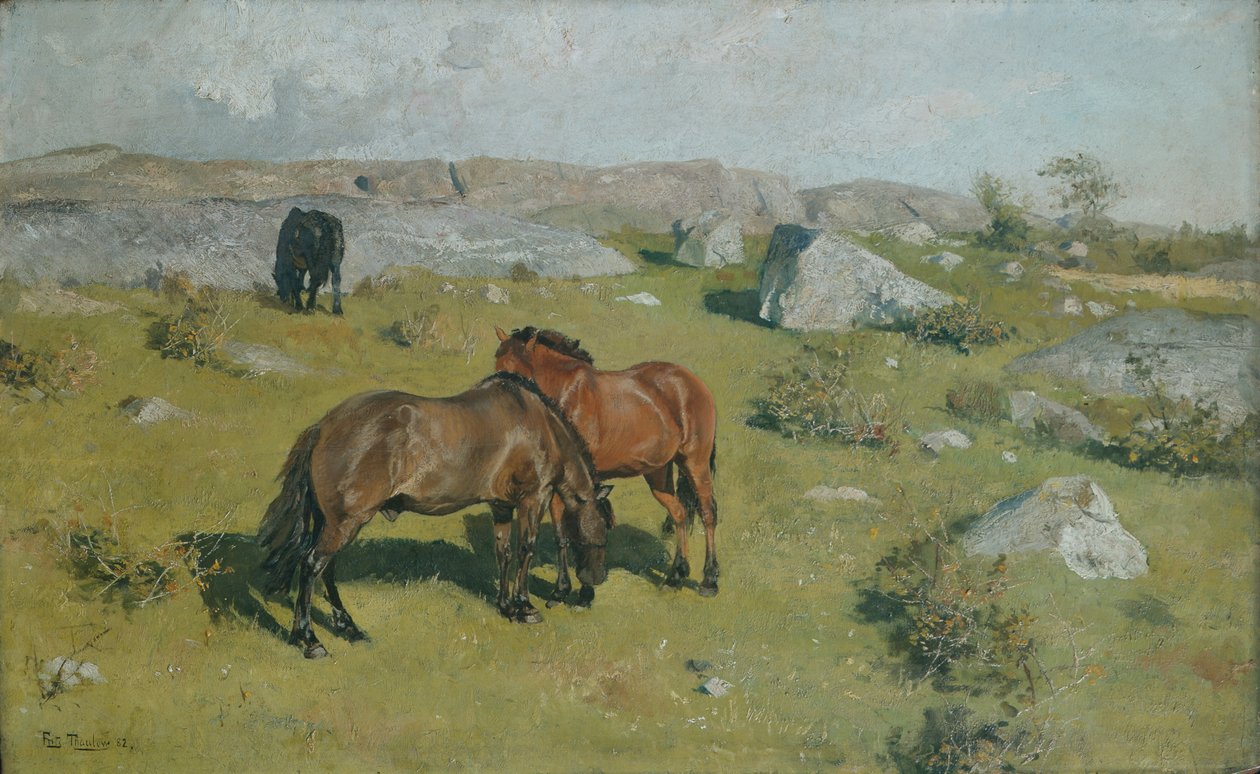  autorstwa Fritz Thaulow