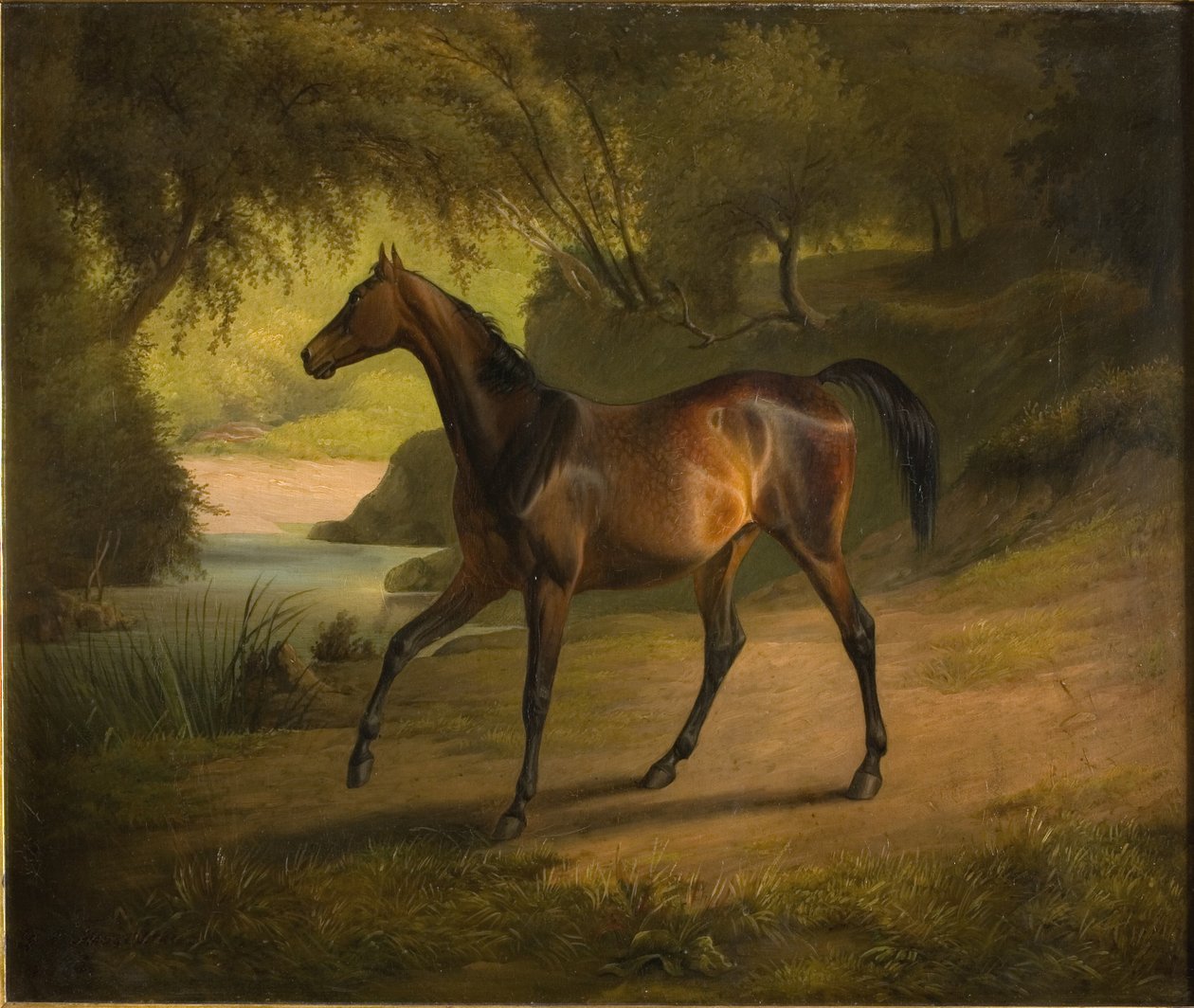 Antonia autorstwa Fritz Thomsen