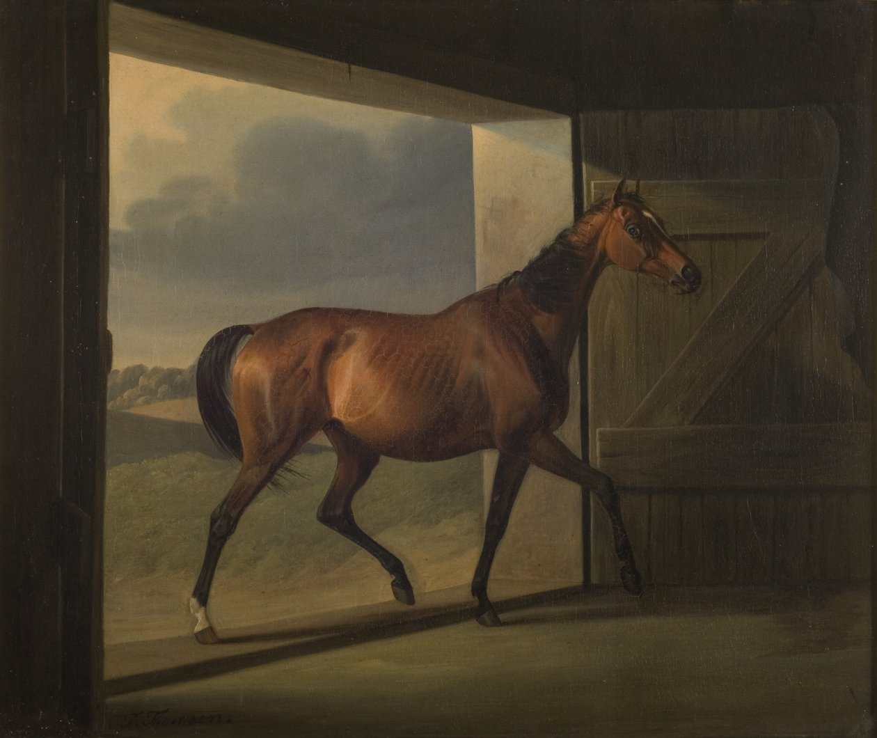 Jutta autorstwa Fritz Thomsen