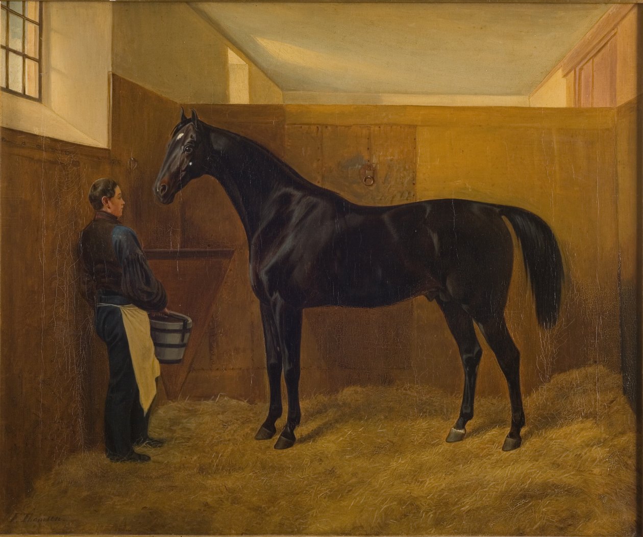 Nogi autorstwa Fritz Thomsen
