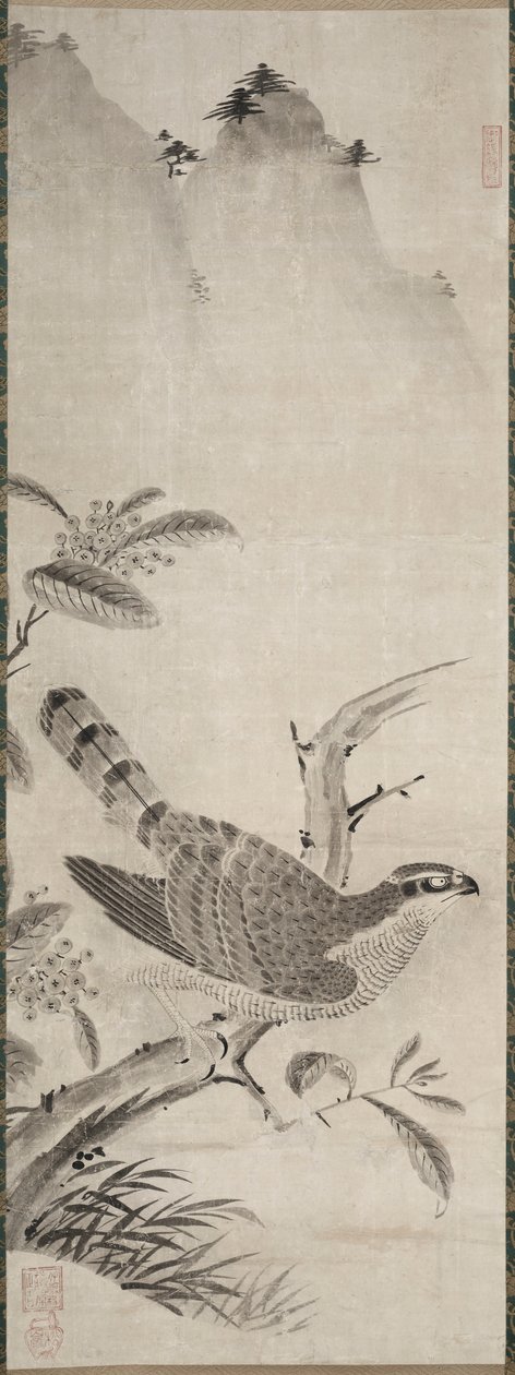 Jastrząb autorstwa Fujiwara Masayoshi