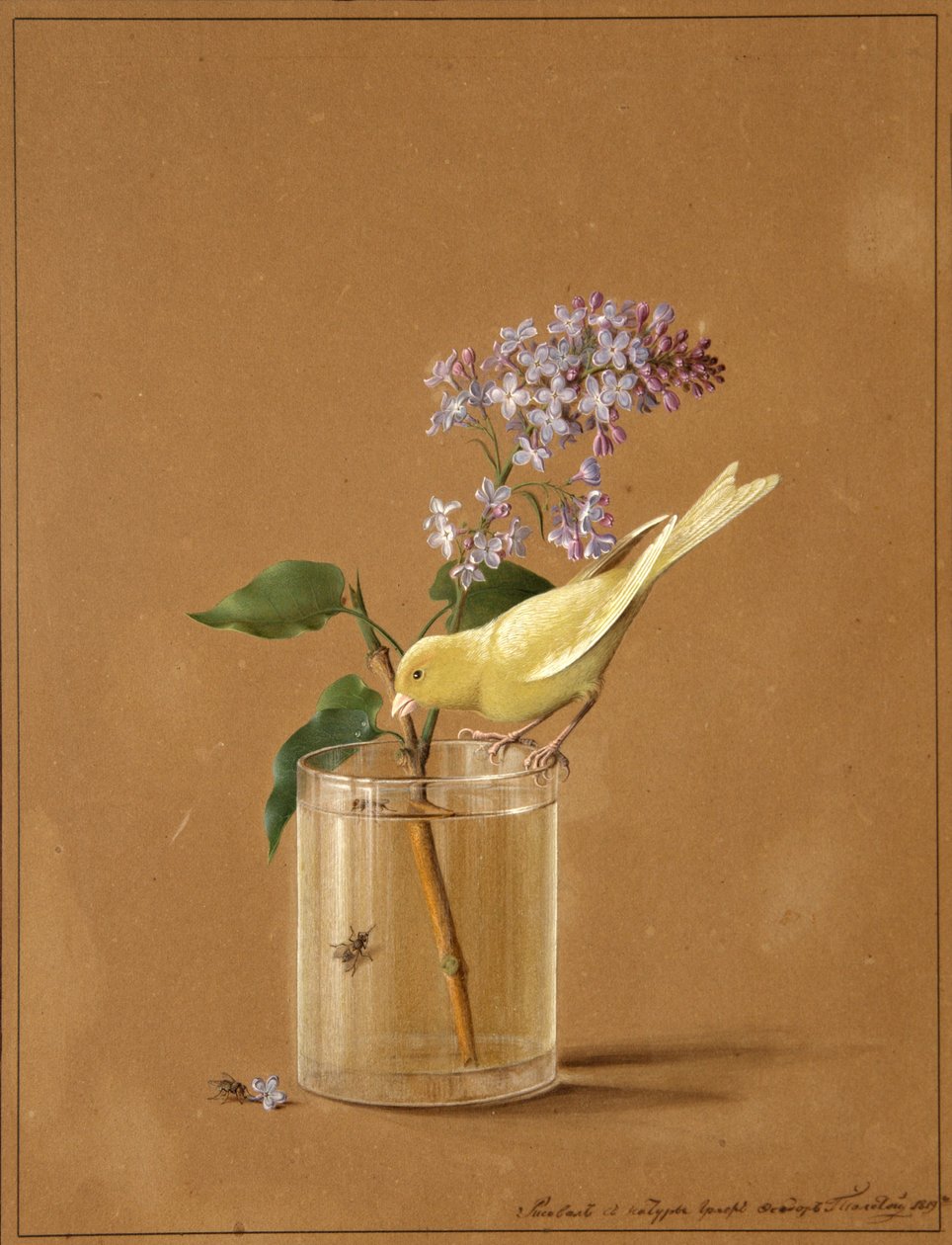 Kanarek na gałązce bzu, 1819 autorstwa Fyodor Petrovich Tolstoy