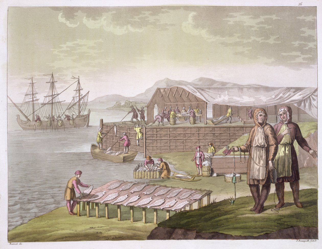 Przemysł rybny, Nowa Fundlandia, z „Le Costume Ancien et Moderne”, tom II, płyta 36, autorstwa Julesa Ferrario, opublikowany ok. 1820-30 autorstwa G. Bramati