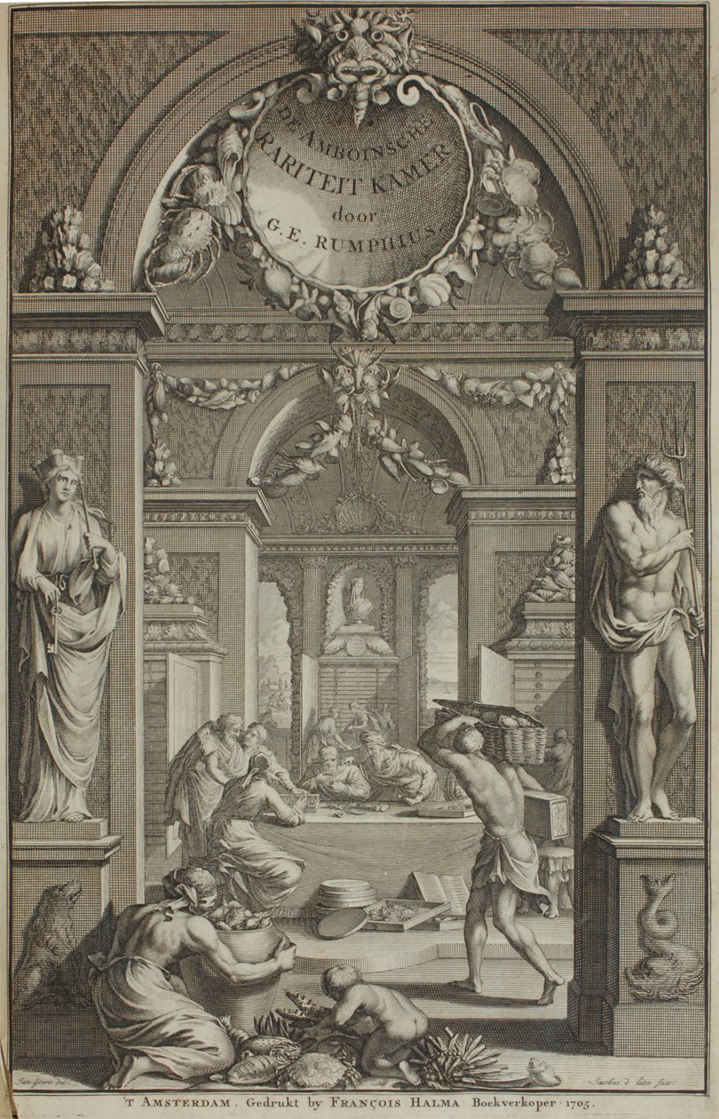 G. E. Rumphius, Amboinische Rariteikammer, Amsterdam 1705 autorstwa G. E. Rumphius