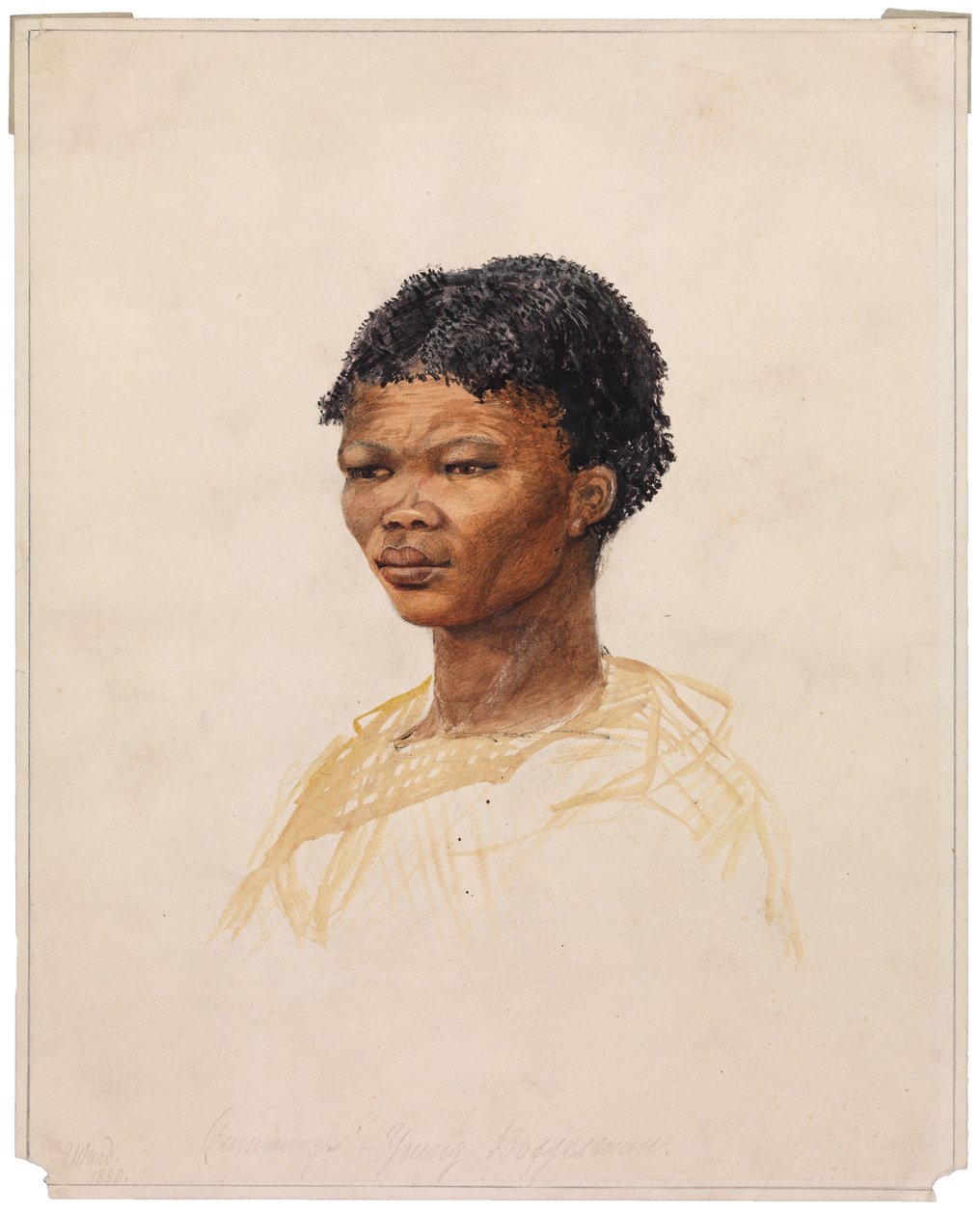 Młody Bosjesman Cumminga, 1850 autorstwa G. S. Ward