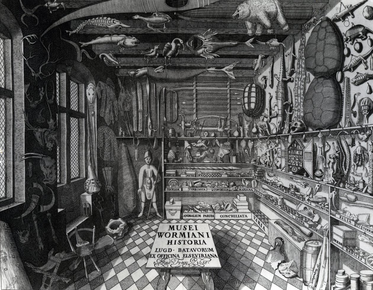 Frontyspis gabinetu osobliwości Ole Worma z „Museum Wormianum” Ole Worma, opublikowany 1655 autorstwa G. Wingendorp
