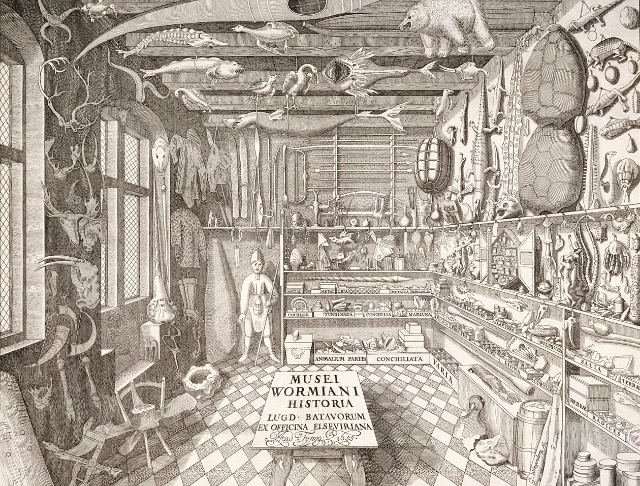 Muzeum Ole Worm, Leiden, 1655 autorstwa G. Wingendorp