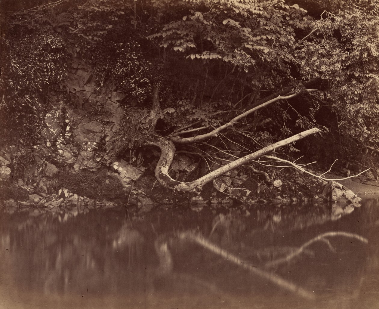 Brzeg rzeki w dolinie Neath, ok. 1930 r. 1855. autorstwa G. B. Gething