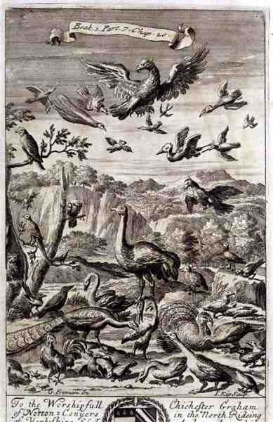 A Variety of Birds, ilustracja z księgi 1, część 7, rozdział 20 „Zasady filozofii” Anthony
