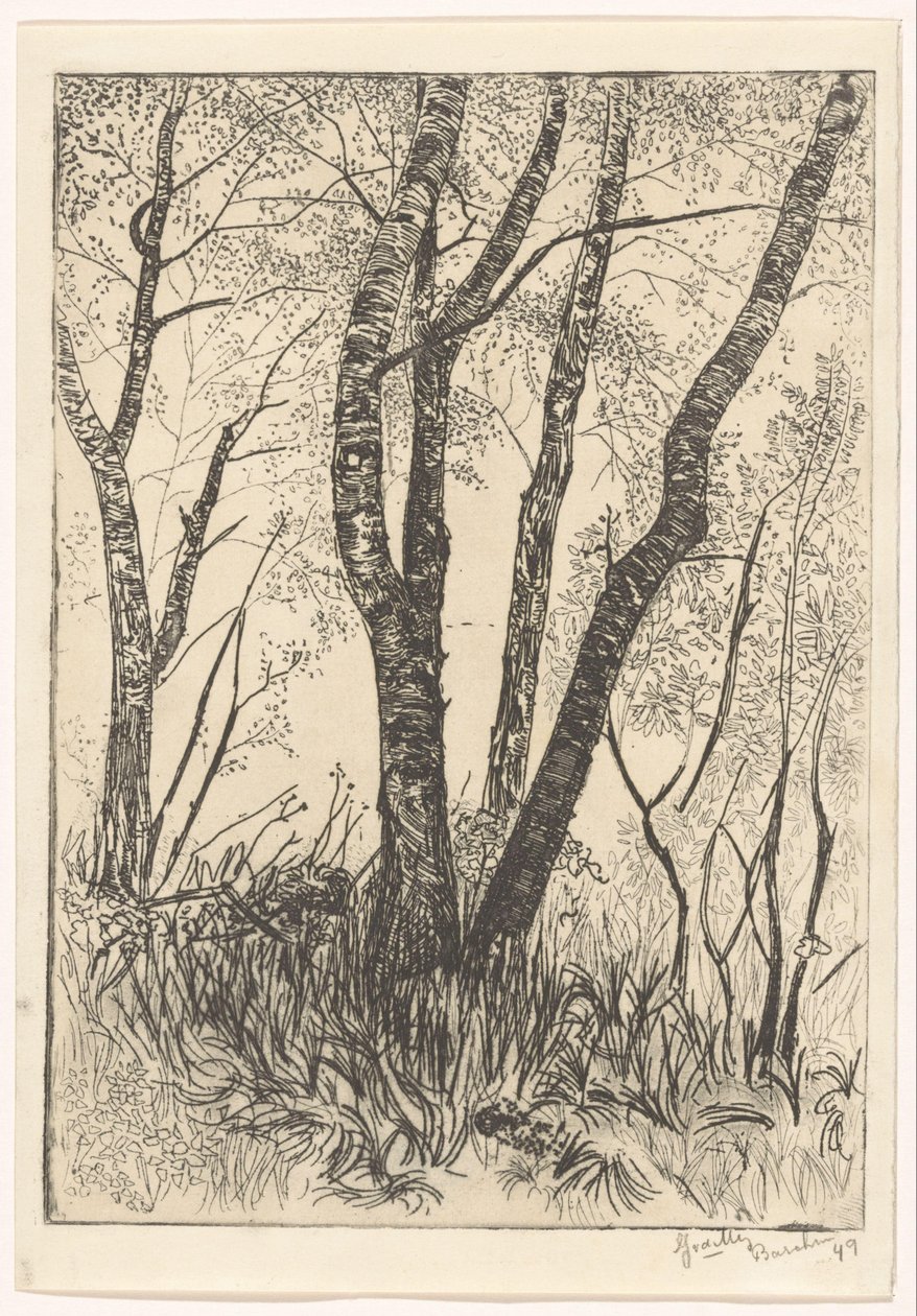 Drzewa w wysokiej trawie autorstwa G. van der Mey (signed by artist)
