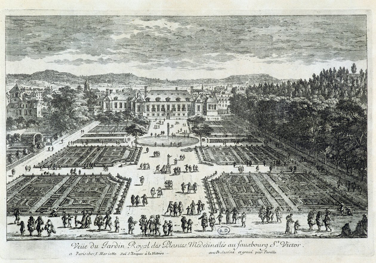 Widok Jardin des Plantes w XVII wieku, autorstwa Perelle autorstwa Gabriel Perelle