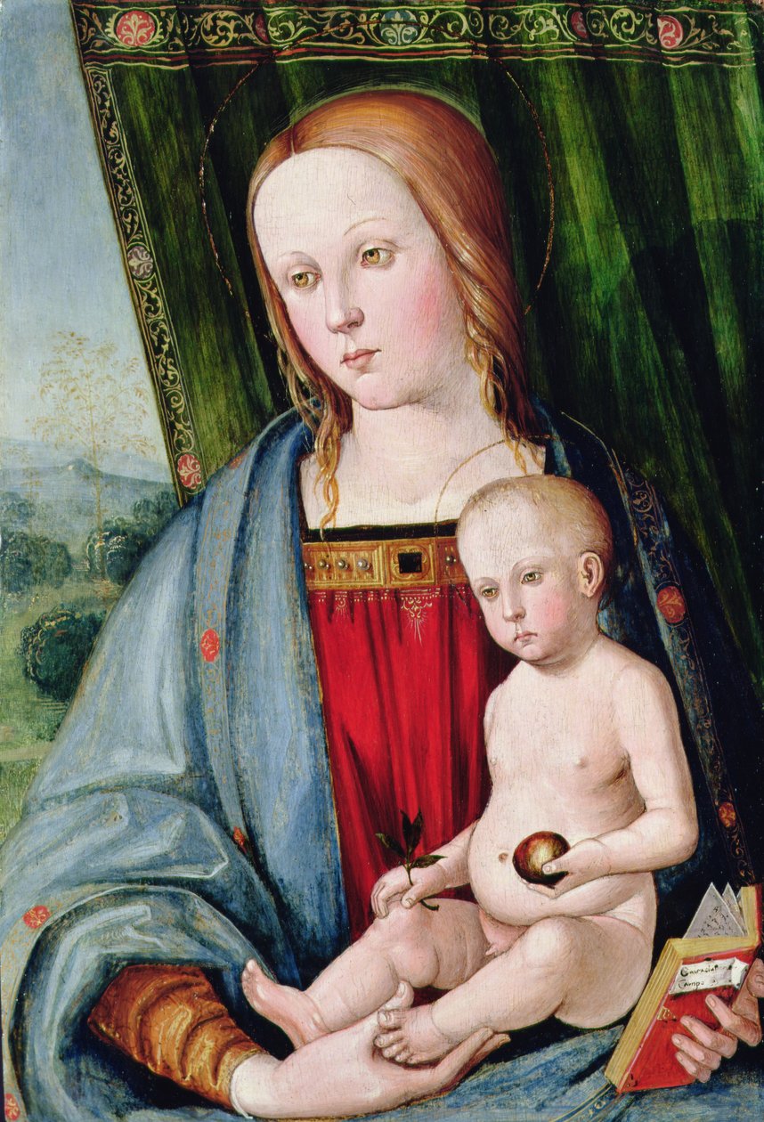 Dziewica z Dzieciątkiem, po 1494 (tempera z glazurą olejną na desce) autorstwa Galeazzo Campi