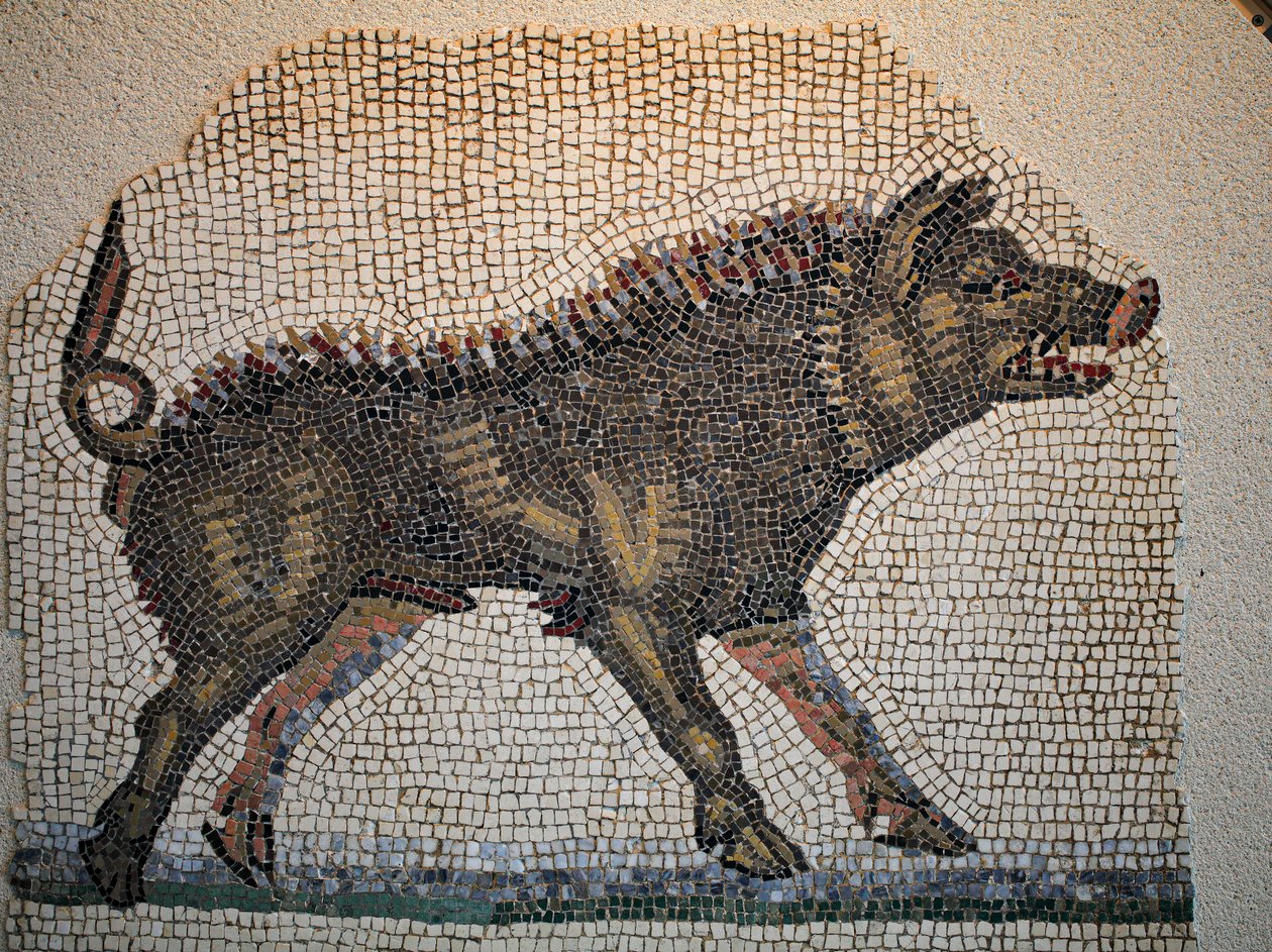 Rzymska mozaika autorstwa Gallo-Roman