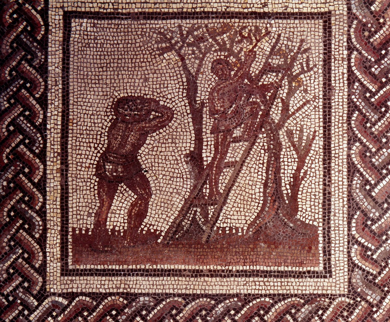 Gallo Roman Art: mozaika przedstawiająca rustykalny kalendarz. Scena zbierania oliwek. Koniec II, początek III wieku po JC. Z Saint-Romain-en-Gal (Rhone). Saint Germain en Laye, Narodowe Muzeum Archeologiczne autorstwa Gallo Roman