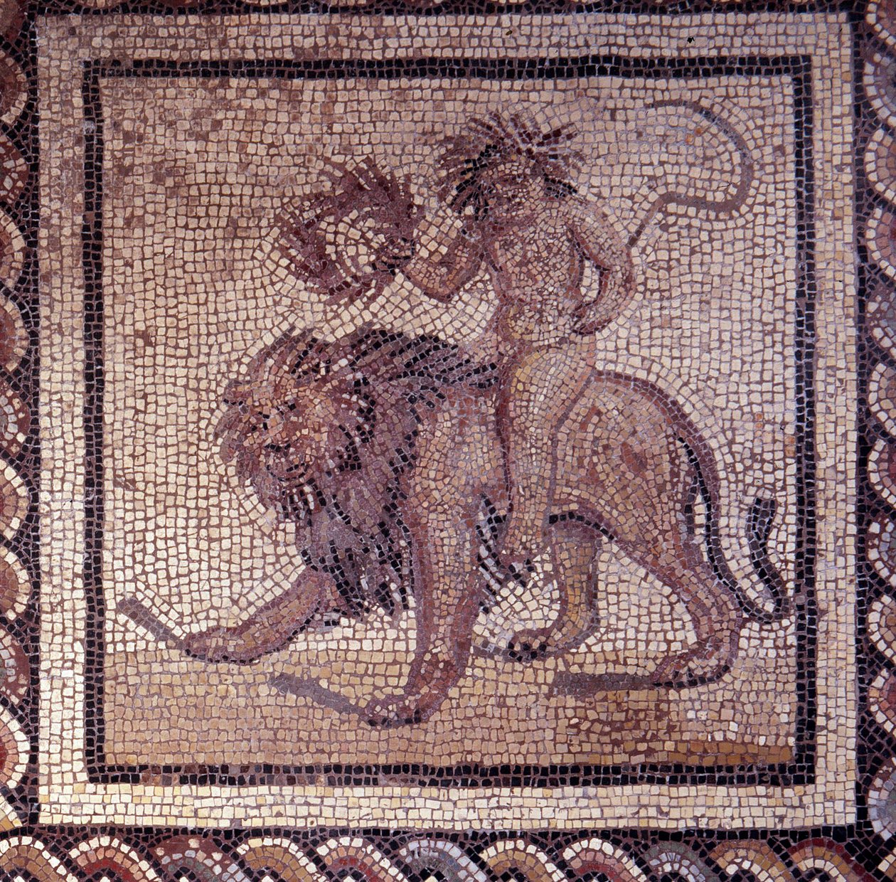 Gallo Roman Art: mozaika przedstawiająca rustykalny kalendarz. Letnia alegoria o lwie. Koniec II, początek III wieku po JC. Z Saint-Romain-en-Gal (Rhone). Saint Germain en Laye, Narodowe Muzeum Archeologiczne autorstwa Gallo Roman