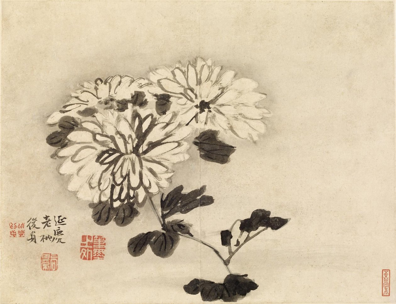 Chryzantemy autorstwa Gao Qipei