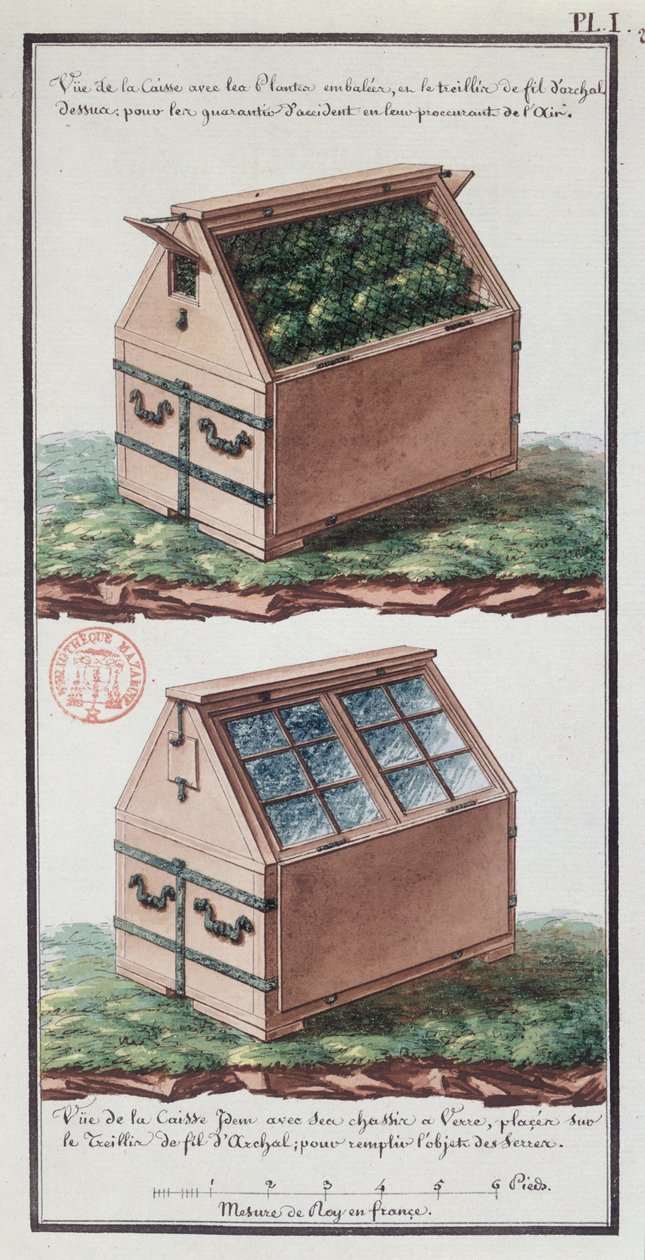 Ilustracja komody do transportu roślin, z notatnika artysty wykonanego podczas wyprawy Jean-Francois Gallup de la Perouse (1741-88) (pióro i atrament i wc na papierze) autorstwa Gaspard Duche de Vancy