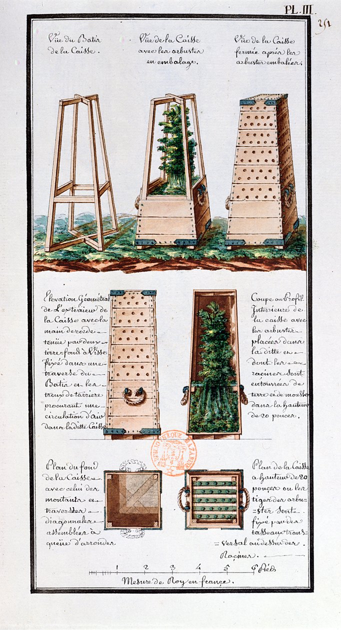 Ilustracja specjalnej szafy do transportu krzewów i krzewów, z notatnika artysty wykonanego podczas wypraw Jean-Francois Gallup de la Perouse (1741-88) (pióro i atrament i toaleta na papierze autorstwa Gaspard Duche de Vancy