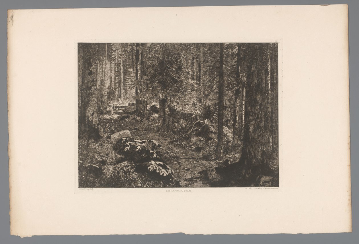 Boslandschap Jodła Doubów (tytuł na obiekcie) Francja etsen uit 1876 (tytuł serii) Akwaforta w 1876 (tytuł serii) autorstwa Gaston Coindre