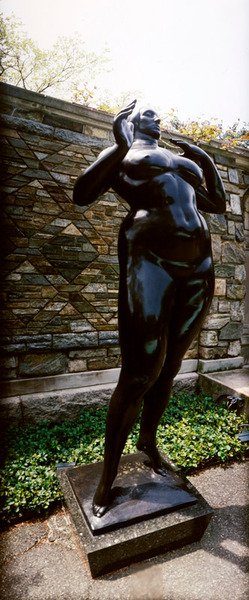 Stojąca Kobieta (Elewacja) autorstwa Gaston Lachaise