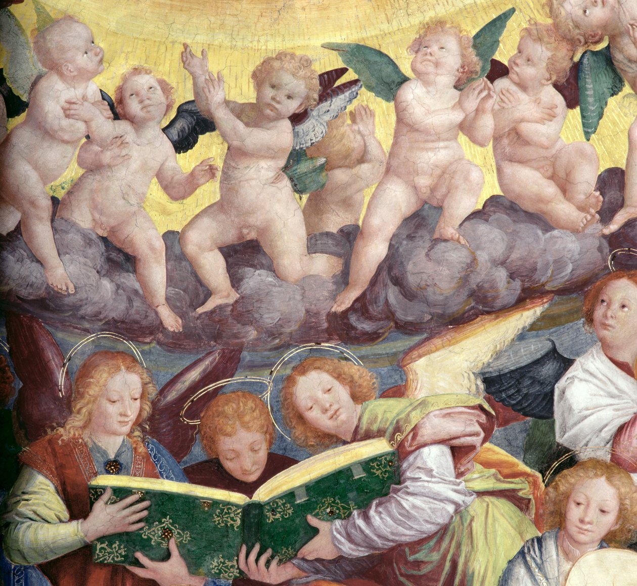 Koncert aniołów, 1534-36 (szczegóły) (zob. 175762) autorstwa Gaudenzio Ferrari