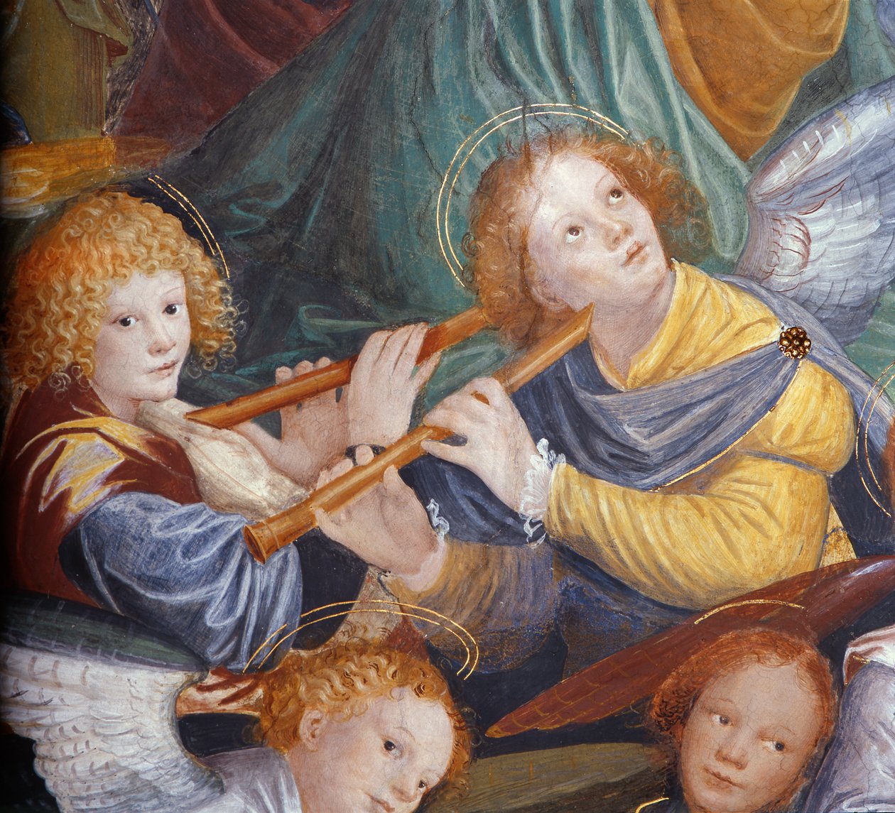 Koncert aniołów, 1534-36 (szczegóły) (zob. 175762) autorstwa Gaudenzio Ferrari