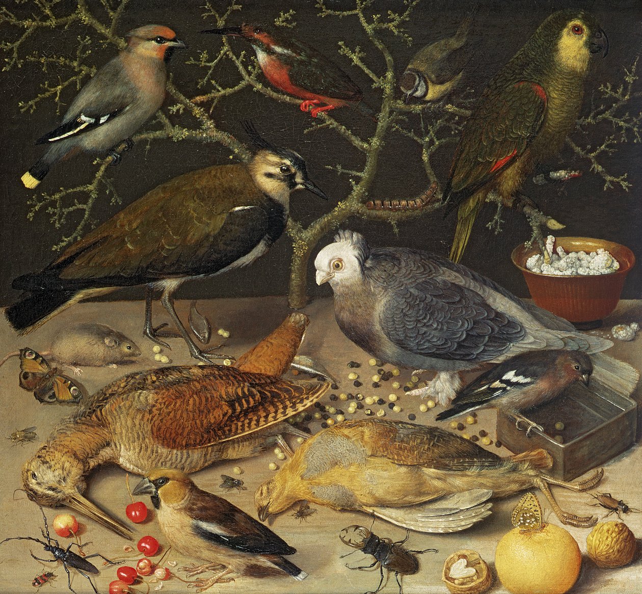 Martwa natura ptaków i owadów, 1637 autorstwa Georg Flegel