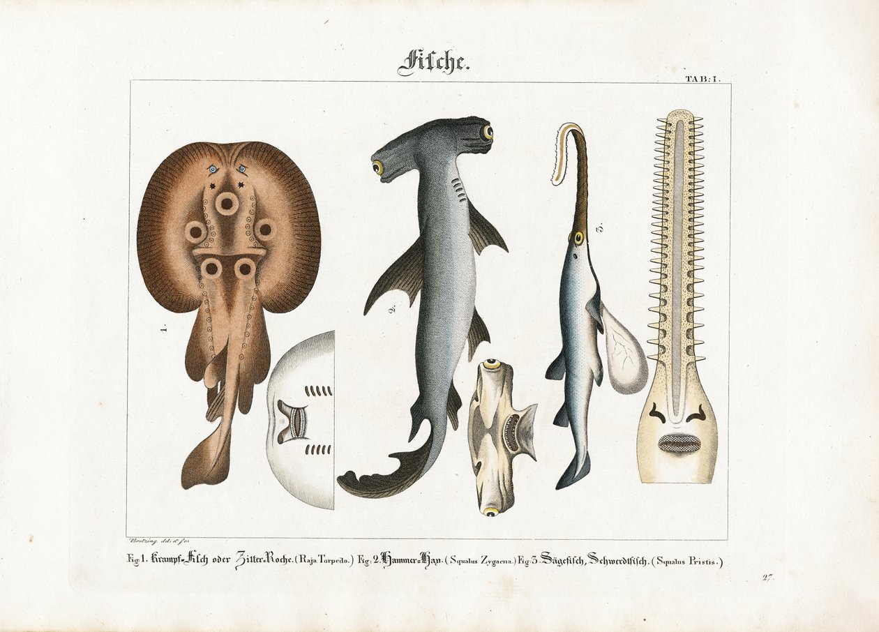  autorstwa Georg Bretzing