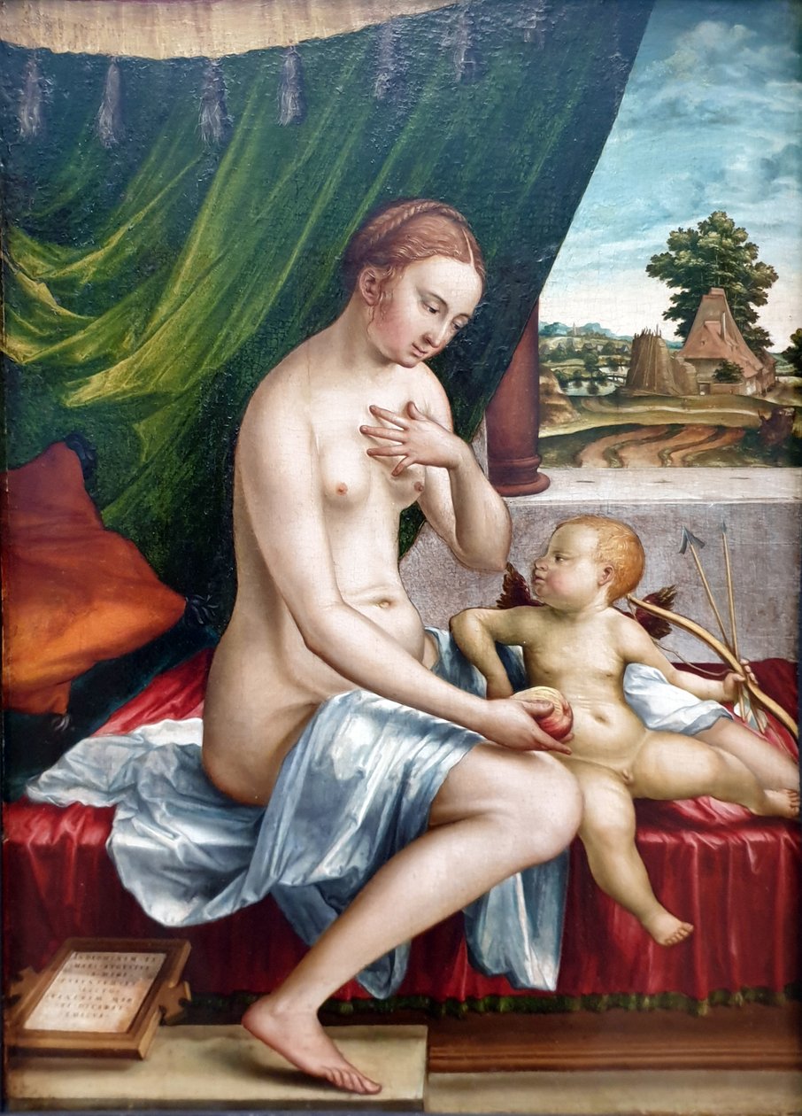 Venus und Amor Wenus i Kupidyn autorstwa Georg Pencz