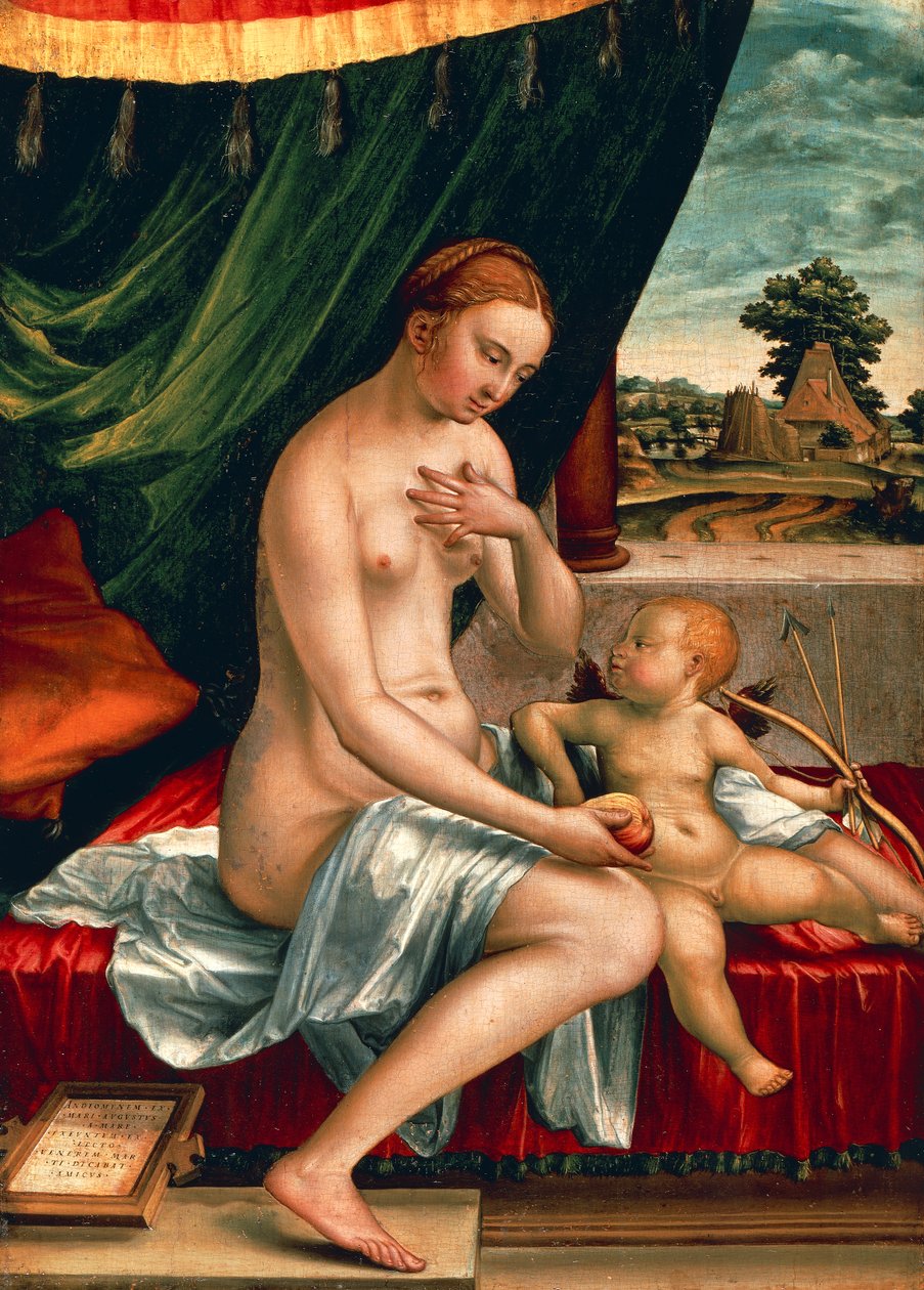 Venus ja Cupid, Georg Pencz (noin 1500-1550), öljy paneelille, 47x34 cm, noin 1528 puola autorstwa Georg Pencz