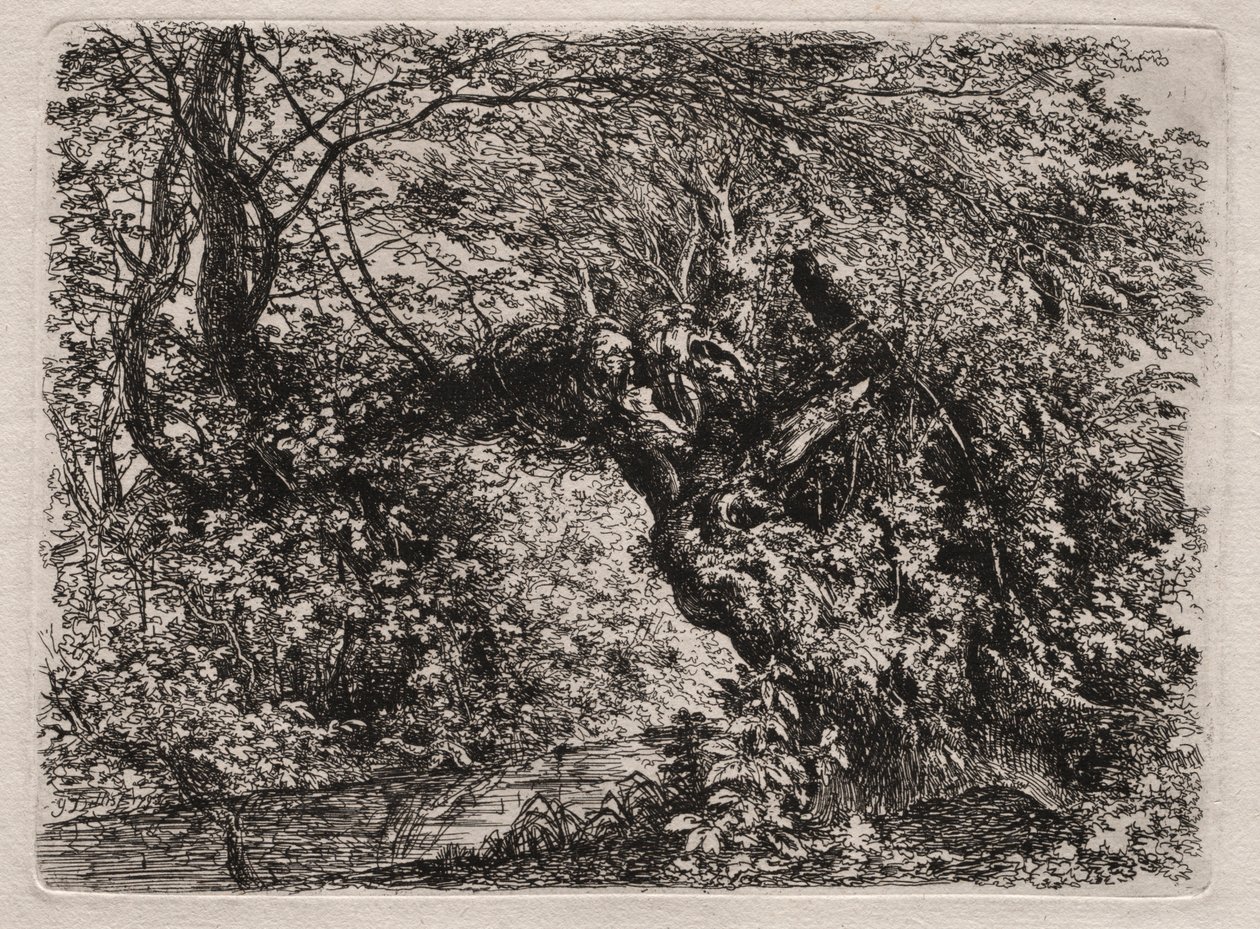 Stara wierzba nad potokiem, 1794. autorstwa Georg von Dillis