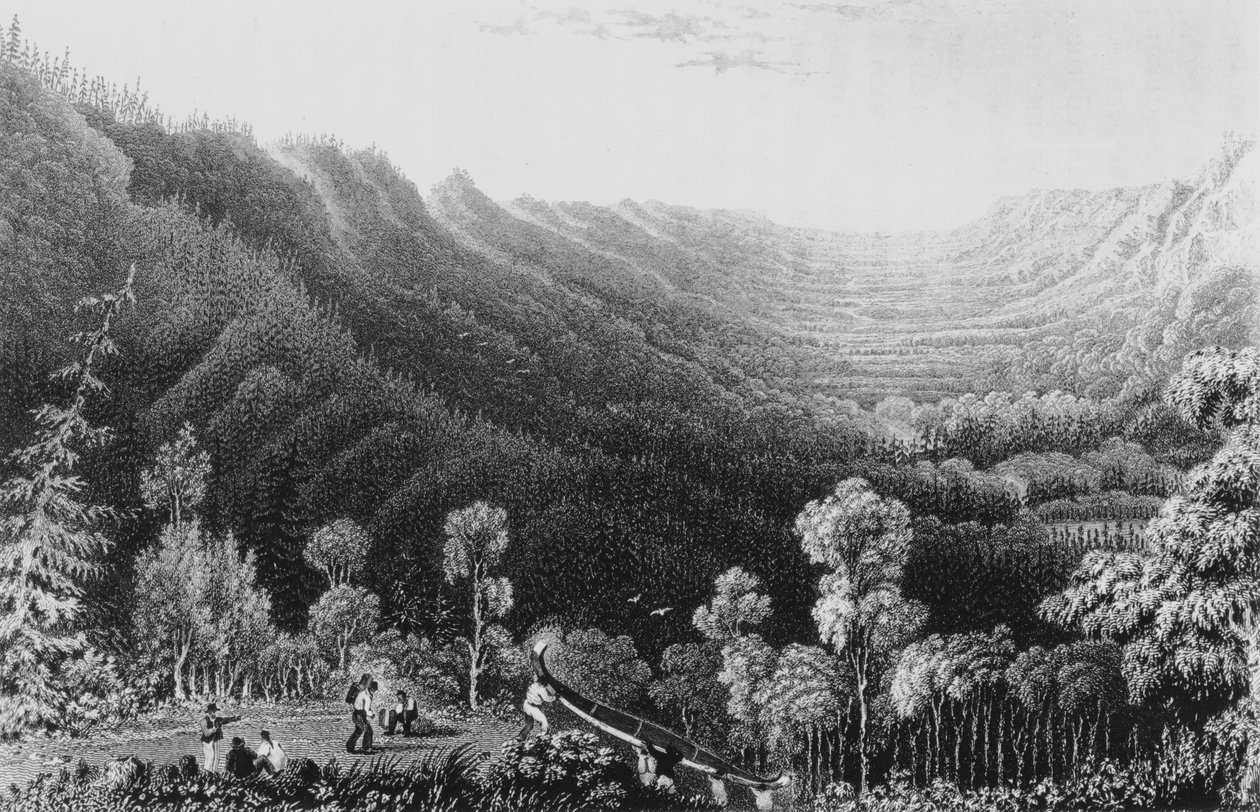 Vale of the Clearwater River z Methye Portage, 1828 autorstwa George Back