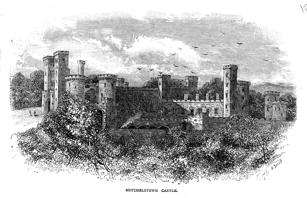 Zamek Mitchelstown, wyryty przez D. Small autorstwa George Butterworth