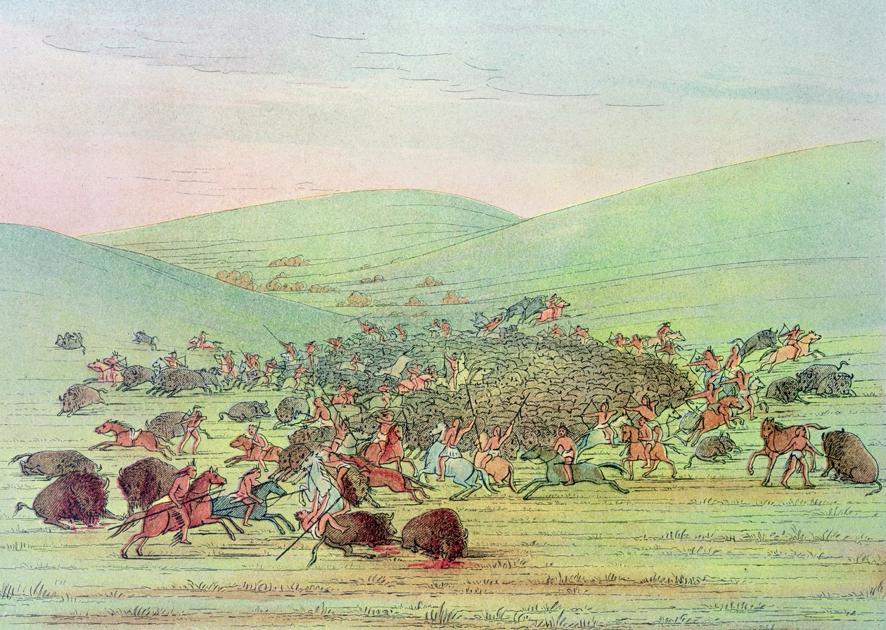 Minatarees atakują bizony na koniu autorstwa George Catlin