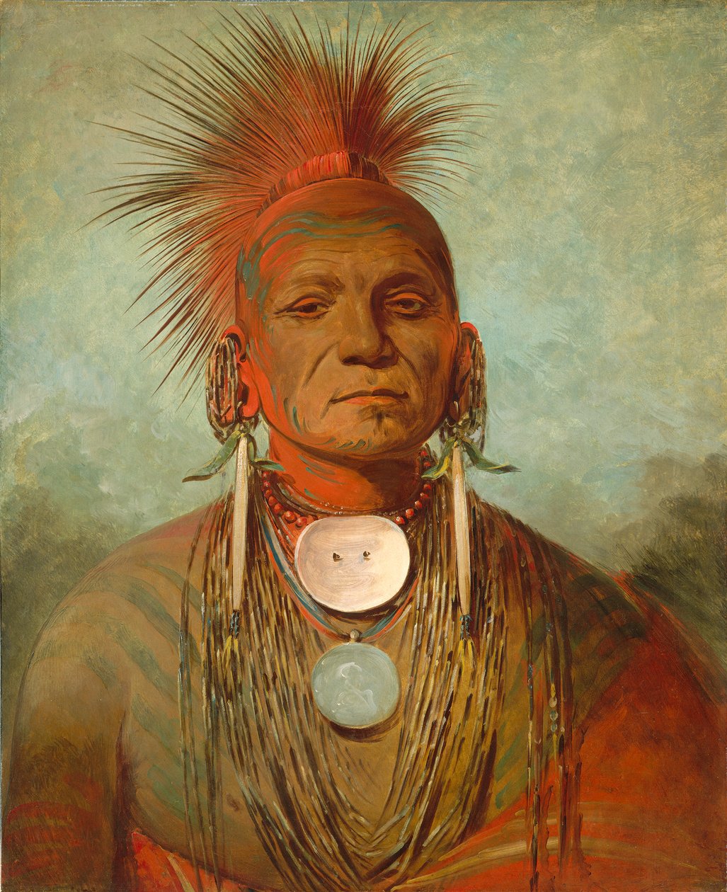 See-non-ty-a, uzdrawiacz z Iowa, 1844-45 autorstwa George Catlin