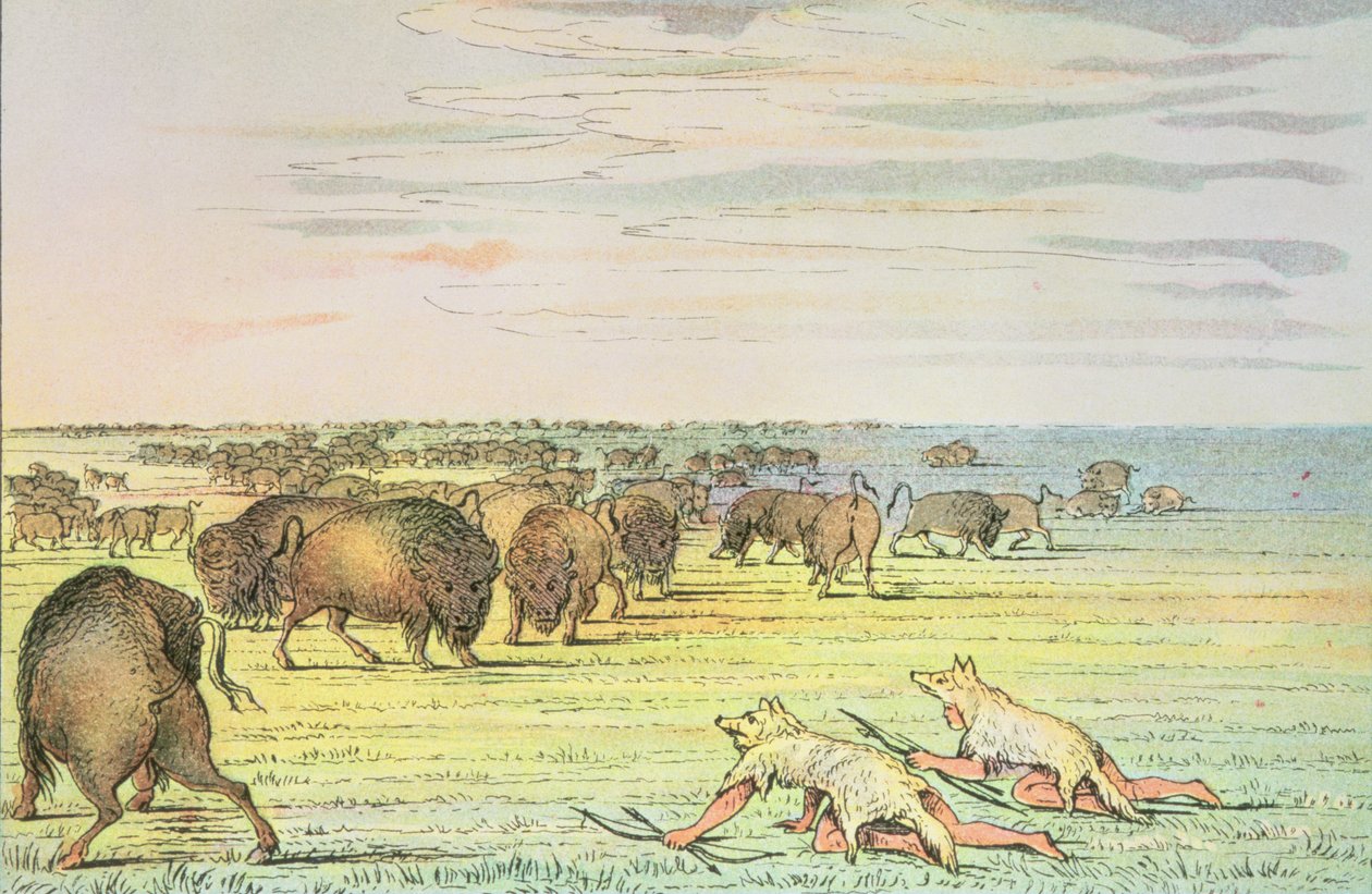 Polowanie na bawoły autorstwa George Catlin