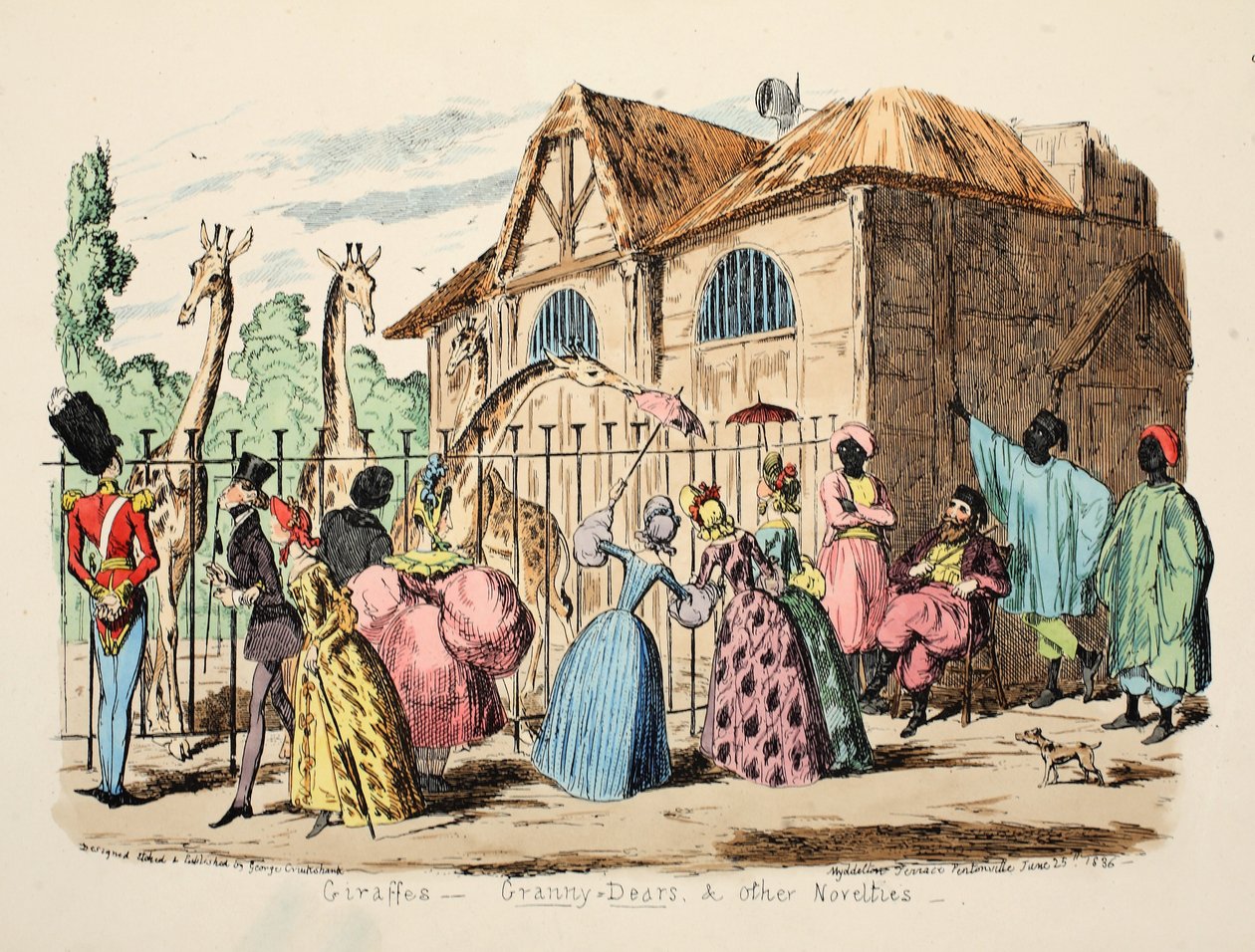 Żyrafy - Babcie Dears i inne nowości, wyd. 1886 (grawerowanie ręcznie kolorowane) autorstwa George Cruikshank
