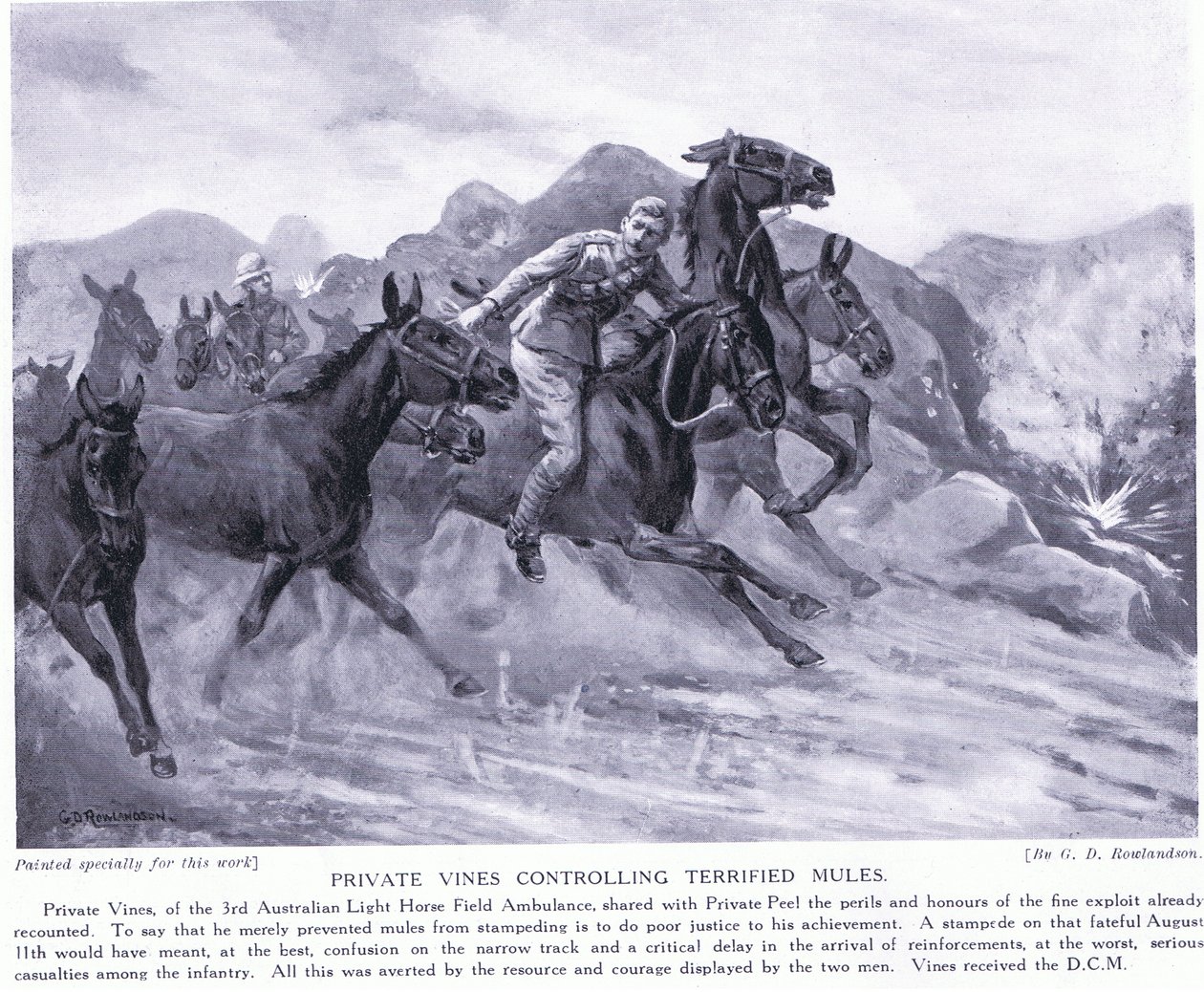 Private Vines nagrodzony DCM za kontrolowanie przerażonych mułów sierpień 1915 autorstwa George Derville Rowlandson